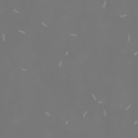 Asset preview
